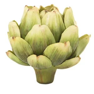 Artichoke Head