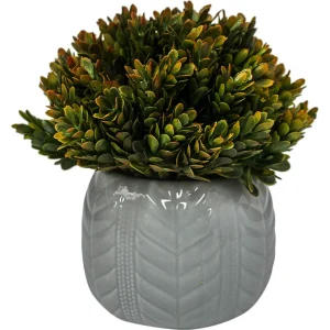 Formal moss red folige