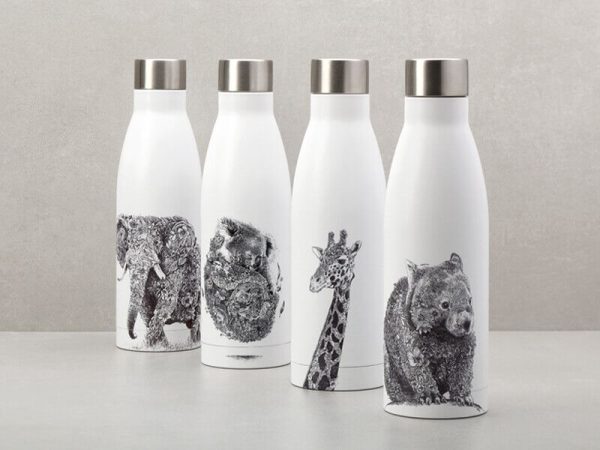 Koala Friends Insulated Bottle 1