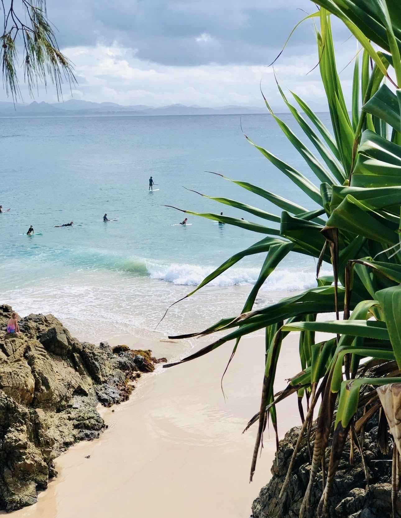home fragrance candle and diffuser products on display