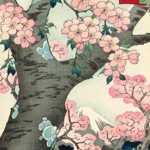 Notecards & Envelope Set - Cherry Blossom