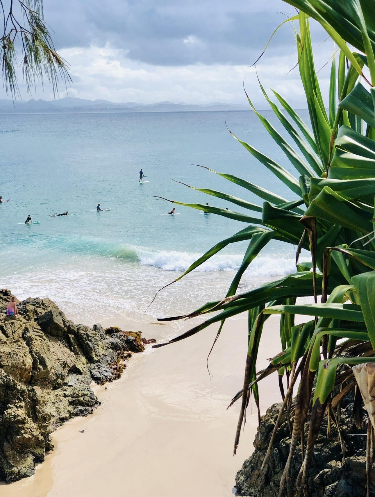 home fragrance candle and diffuser products on display